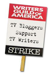 TV Bloggers Strike