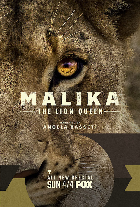 MALIKA THE LION QUEEN