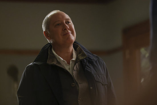 THE BLACKLIST season 10