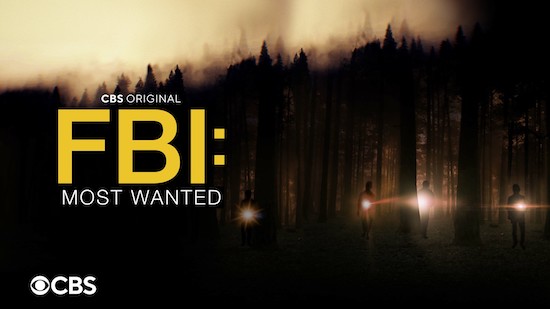 FBI MOST WANTED season 4