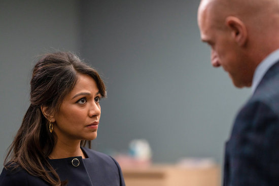 Law and Order Organized Crime Karen David